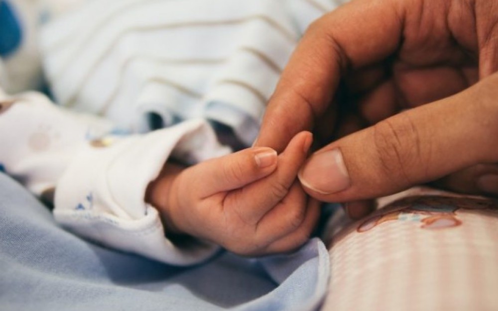 Koja je tajna zapadne Hercegovine? Jedina županija od njih 10 u FBiH koja ima više rođenih od umrlih Koja je tajna zapadne Hercegovine? Jedina županija od njih 10 u FBiH koja ima više rođenih od umrlih