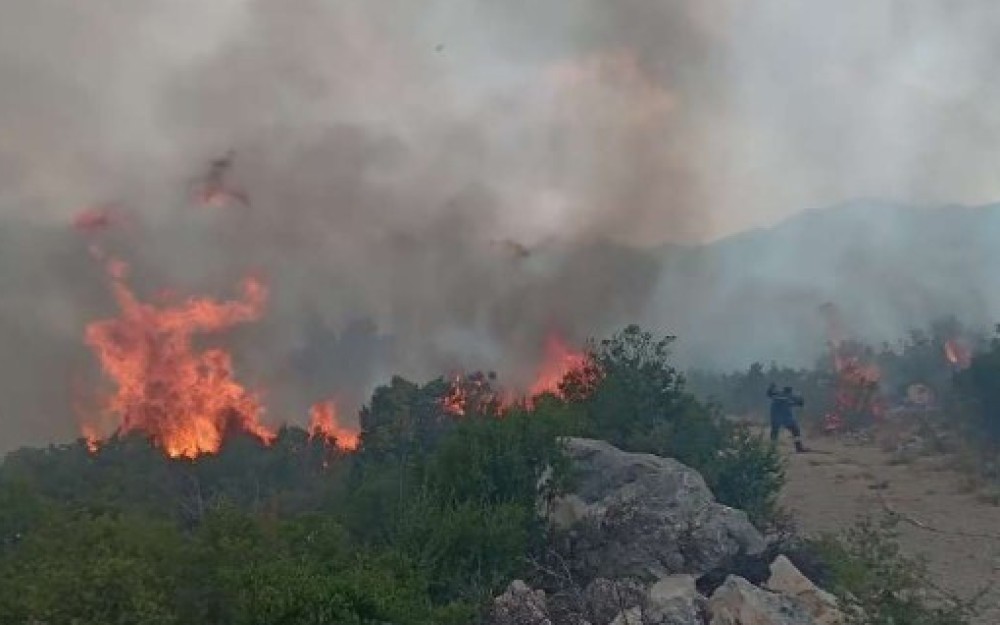 Gori gusta borova šuma kod Ploča, u gašenju sudjeluju i dva kanadera