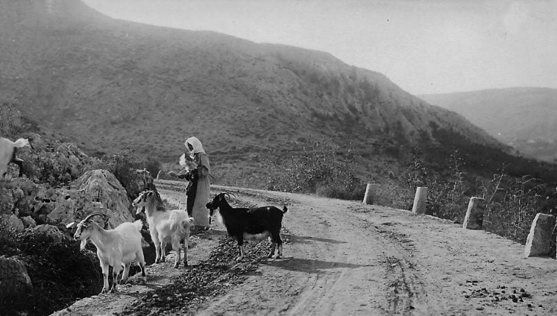 Pogledajte kako je Žovnica izgledala 1903. godine