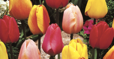 Slika zaslona 2025 09 17 u 15.23.03