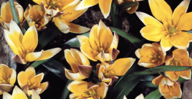 Slika zaslona 2025 09 17 u 15.23.09