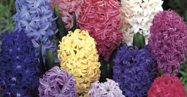 Slika zaslona 2025 09 17 u 15.23.39