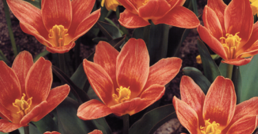 Slika zaslona 2025 09 17 u 15.23.45