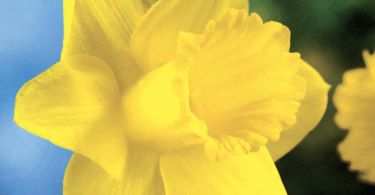 Slika zaslona 2025 09 17 u 15.24.12