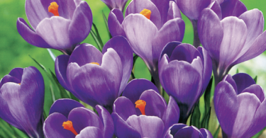 Slika zaslona 2025 09 17 u 15.24.46