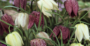 Slika zaslona 2025 09 17 u 15.25.20