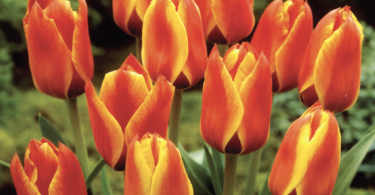 Slika zaslona 2025 09 17 u 15.28.30