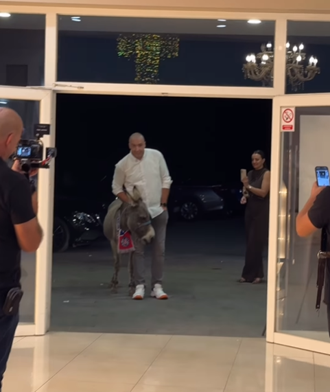 Muškarac vodi magarca omotanog u Hajdukov šal u svadbenu salu