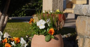 1efdb4b9 52f9 4d0f 9677 9495825b7ac1