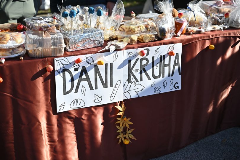 559983782 1122019633352985 7247664039963474446 n