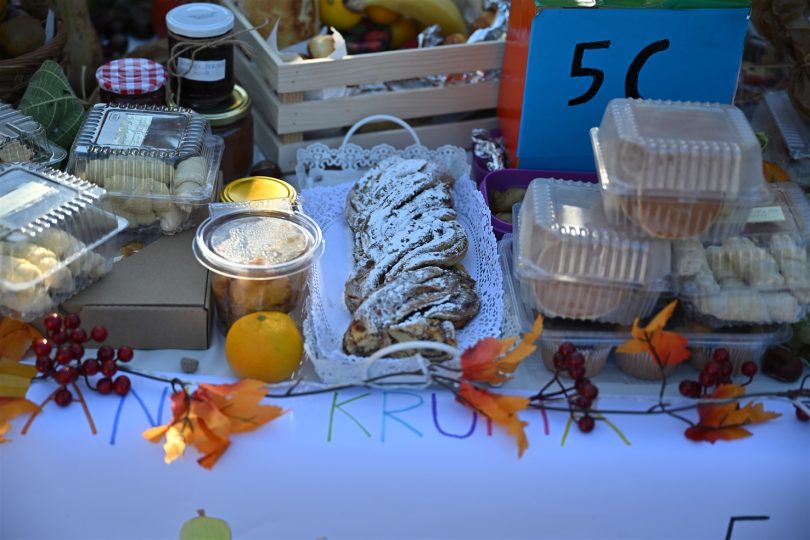 565142005 1122019960019619 1280391355510802989 n