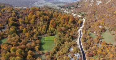 Asfaltna cesta kroz jesensku šumsku krajoliku s brežuljcima u pozadini
