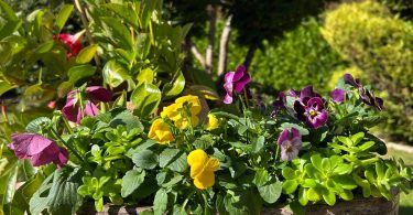 79d87424 eac9 4a78 a2eb efc9e7b8b59b