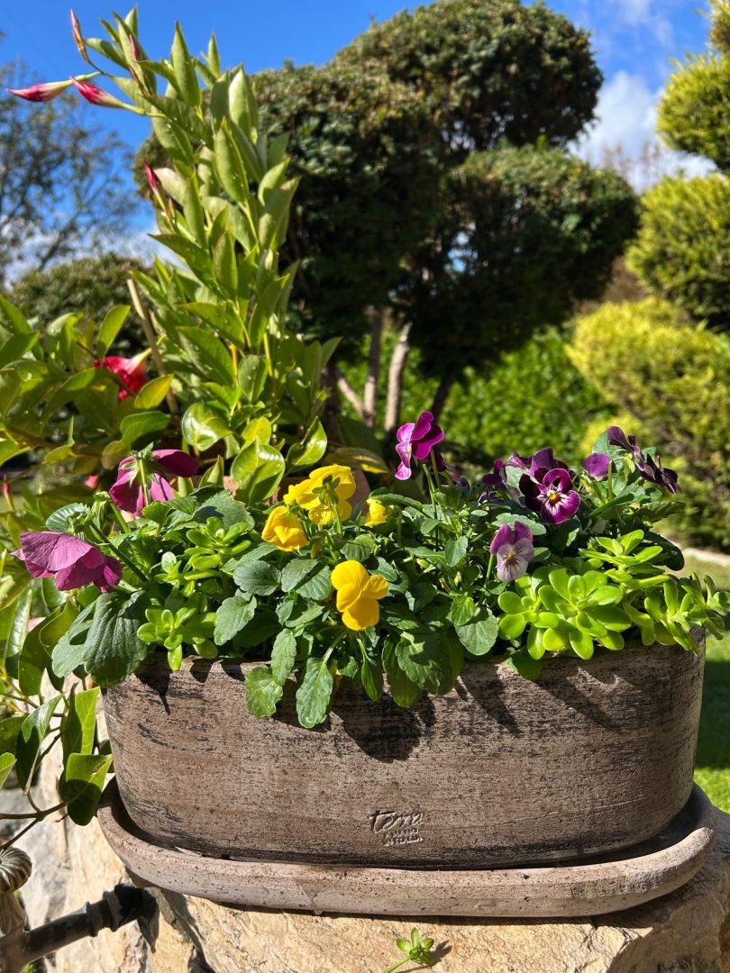 79d87424 eac9 4a78 a2eb efc9e7b8b59b