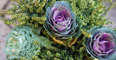 7f12a7db 6407 4dab 961e 242b5b1e836c scaled 1