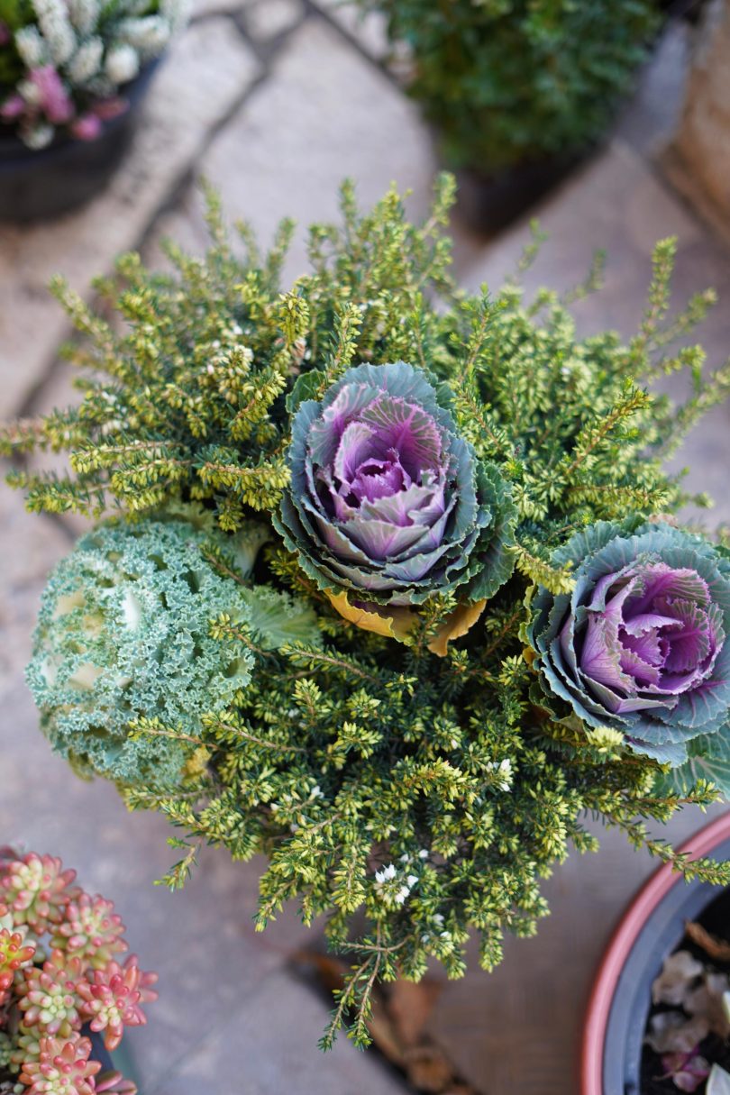 7f12a7db 6407 4dab 961e 242b5b1e836c scaled 1