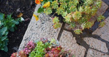 89e48b28 e02d 4ccf bc4c 817f460995ee scaled 1