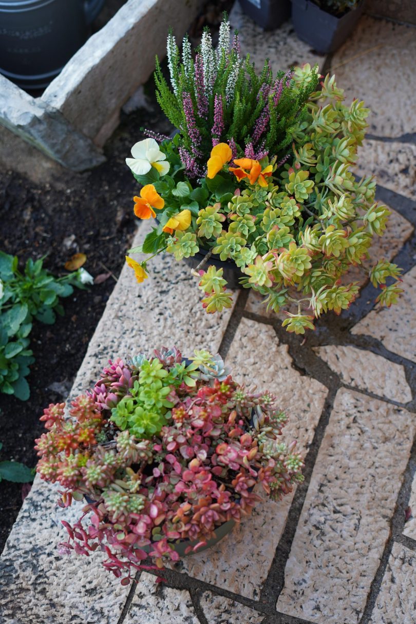 89e48b28 e02d 4ccf bc4c 817f460995ee scaled 1