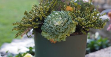 c767ffad bd47 4fe8 b1cc 14dc115c52e0 scaled 1