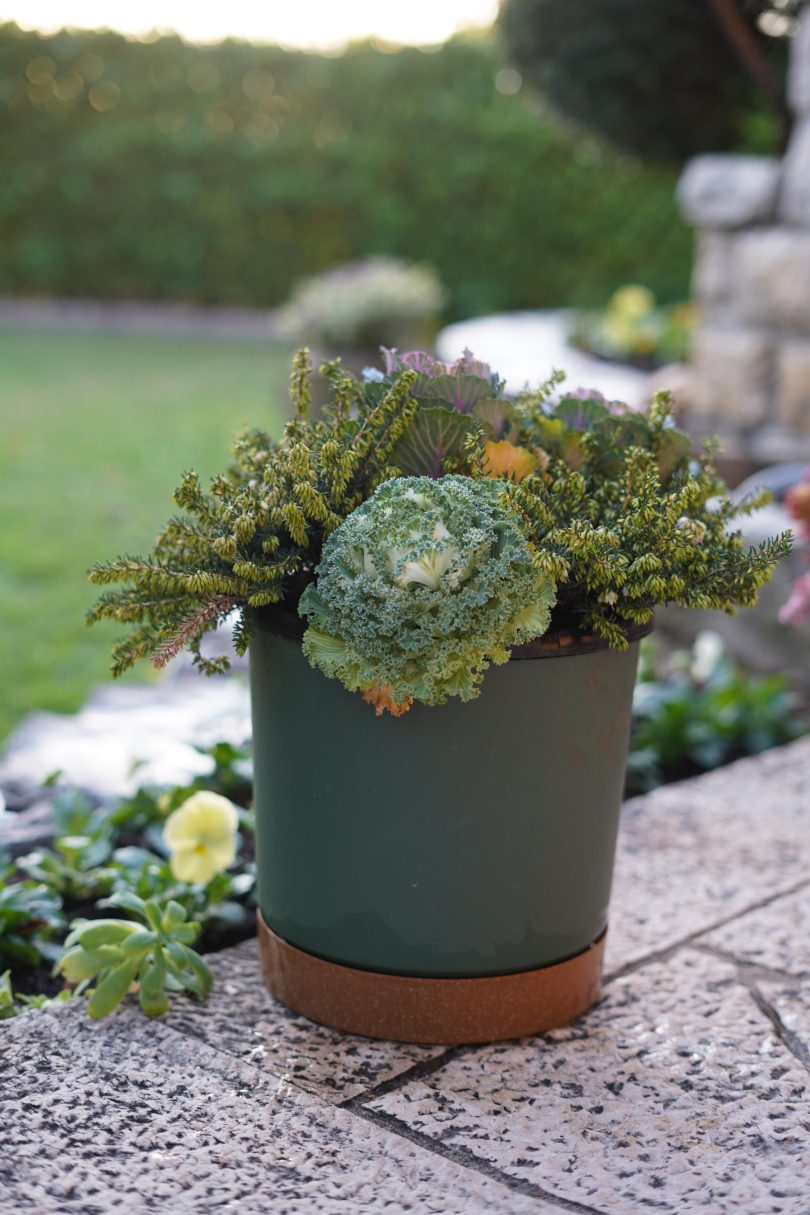 c767ffad bd47 4fe8 b1cc 14dc115c52e0 scaled 1