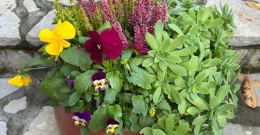 d69004dd caf9 49b1 b7b7 b662f700bcd1