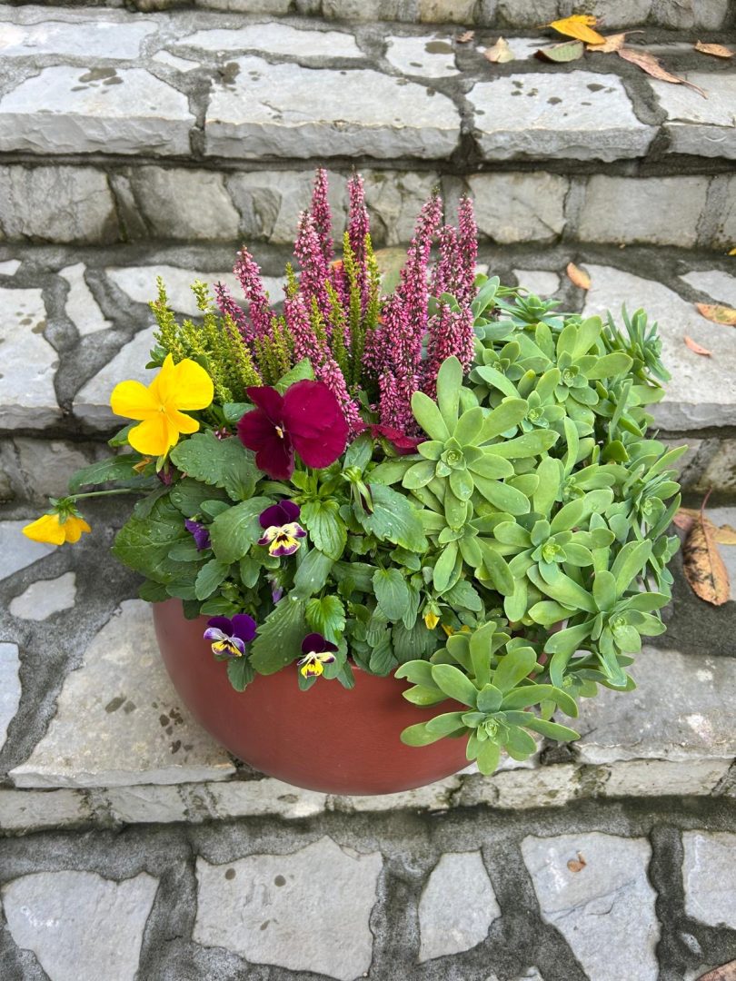 d69004dd caf9 49b1 b7b7 b662f700bcd1