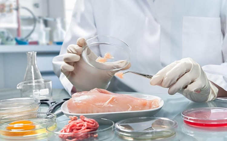 Laborant u zaštitnim rukavicama provjerava uzorak mesa u laboratoriju