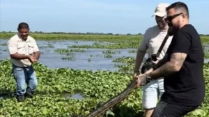 63204040 kristijan ilicic