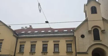 IMG 4661