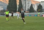 kukavica