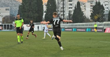 kukavica