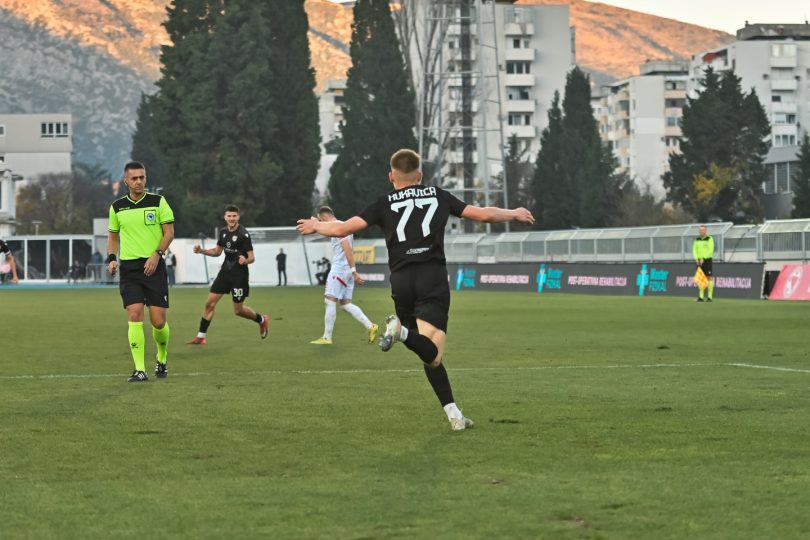 kukavica