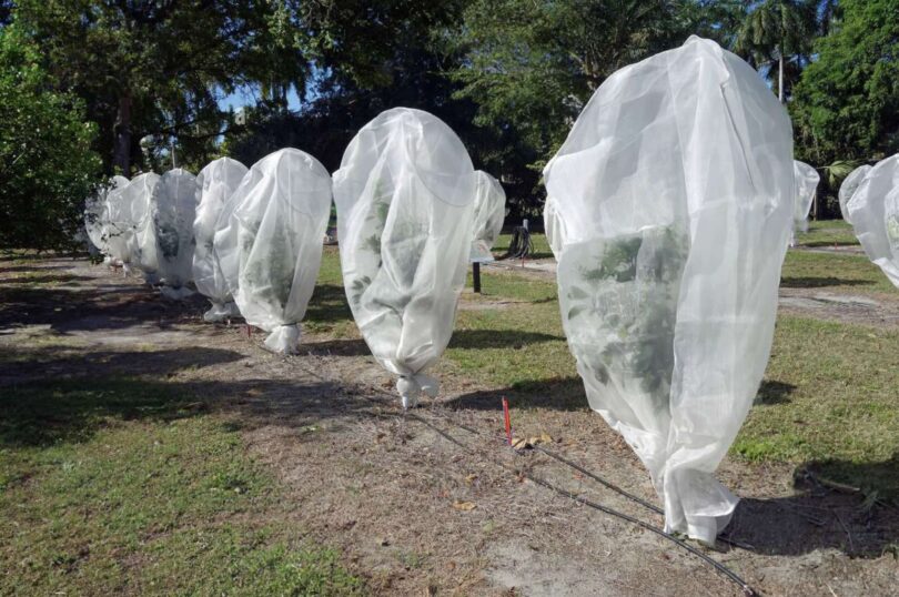 viber slika 2025 11 21 15 36 08 280 810x538 1