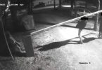 Policija istražuje slučaj