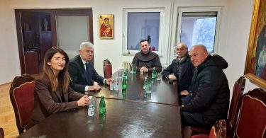 hdz bih
