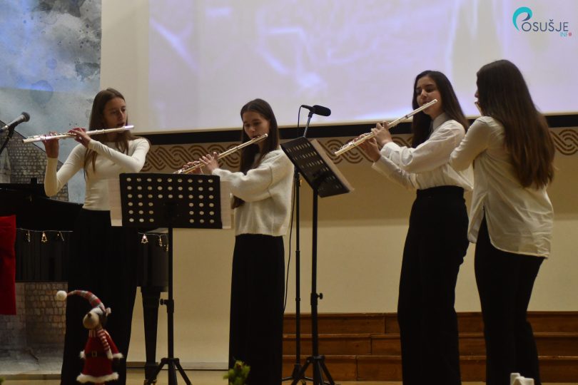 koncert glazbene skole 14 1