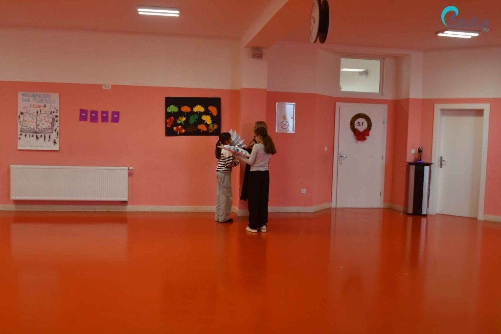 osnovna skola ivana mazuranica posusje 1