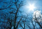 Vedro nebo i голо grano pod suncem tijekom zime
