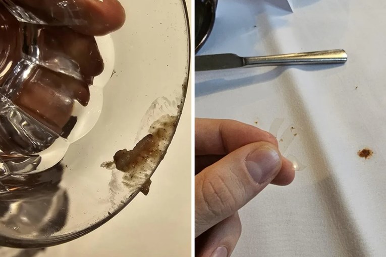 Bolonjez i crvi rukomet