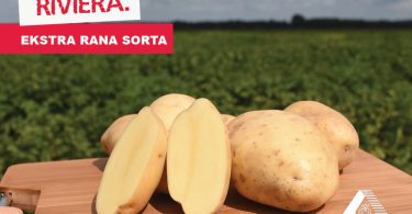 Vizuali za agrokutak sorte 1