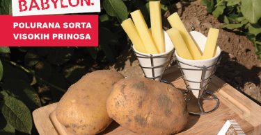 Vizuali za agrokutak sorte5 1