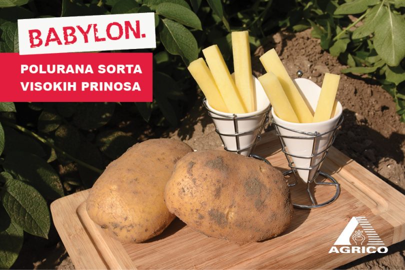 Vizuali za agrokutak sorte5 1