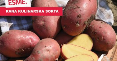 Vizuali za agrokutak sorte6 1