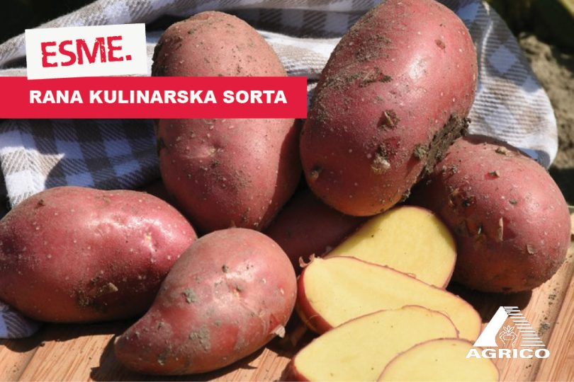 Vizuali za agrokutak sorte6 1