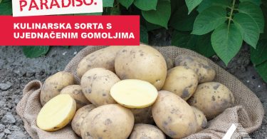 Vizuali za agrokutak sorte7 1