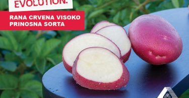 Vizuali za agrokutak sorte9 2