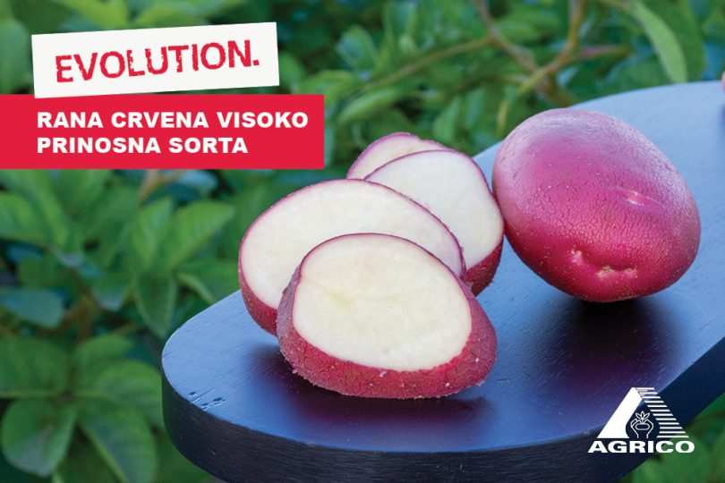 Vizuali za agrokutak sorte9 2