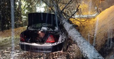Automobil oštećen padom stabla, GSS intervenira na mjestu nesreće