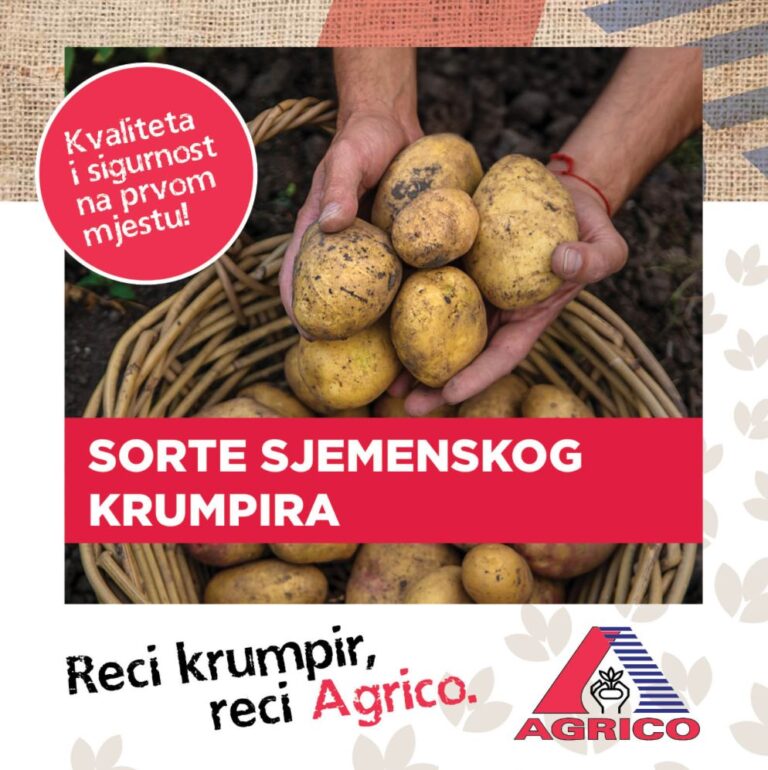 viber slika 2026 01 07 15 15 59 905 768x770 2