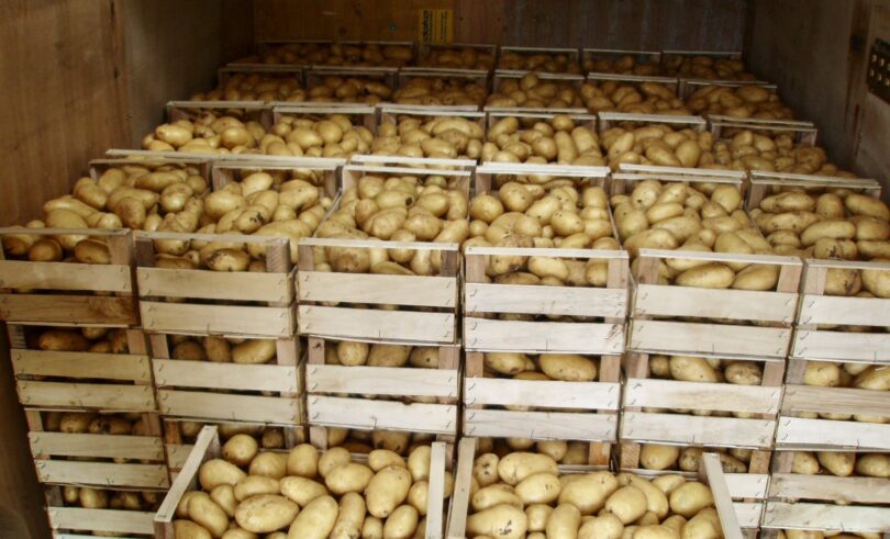 viber slika 2026 01 21 13 43 17 536 810x491 1